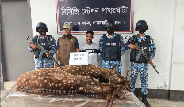 বরগুনায় জবাইকৃত ২টি হরিনসহ আটক ১