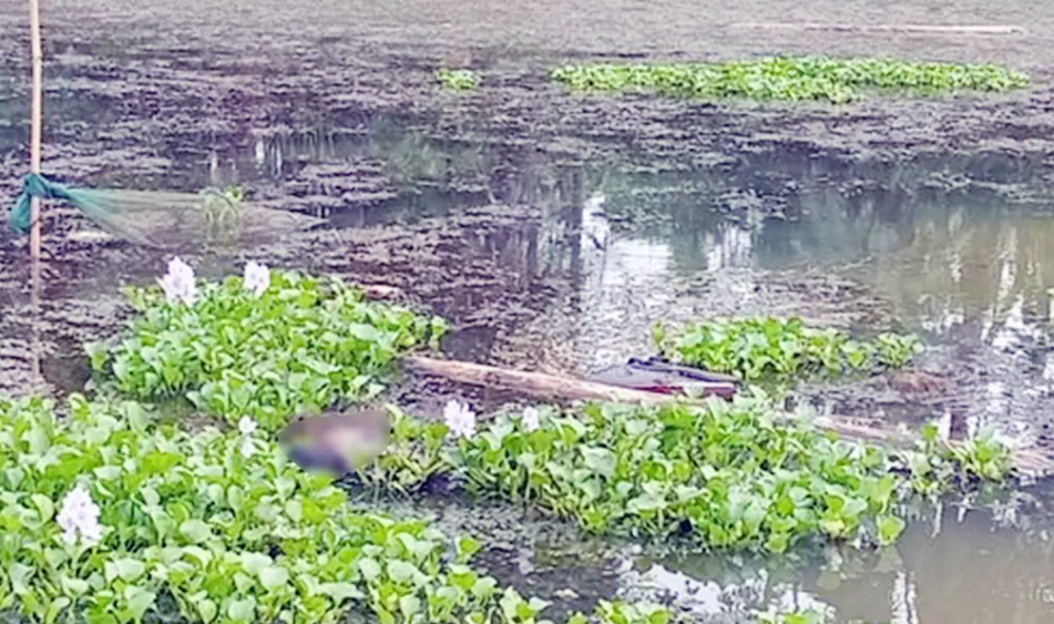মহেশপুর সীমান্তে ৭২ ঘণ্টায় দুই মৃতদেহ উদ্ধার