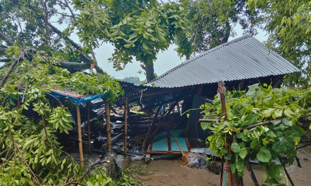 গাছ পড়ে মা ও দুই মেয়ে নিহত