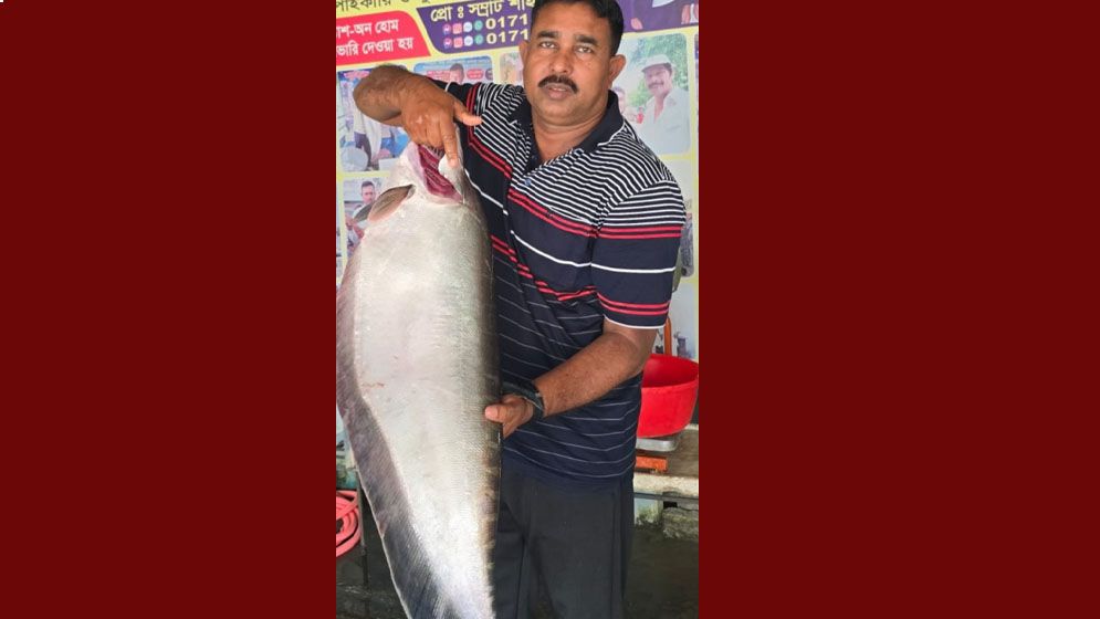 এক চিতলের ওজন ৯ কেজি, দাম ১৪,৪০০ টাকা