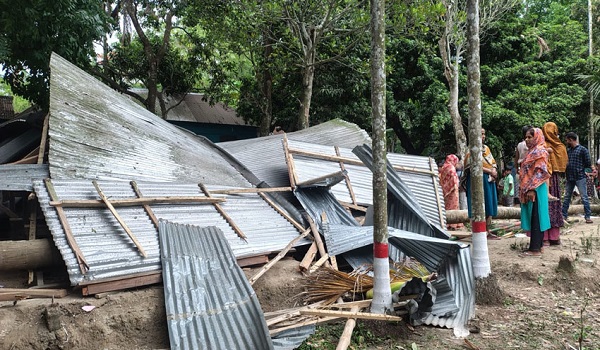 ঝড়ে বিদ্যালয়ে পড়লো গাছ, আহত ৩