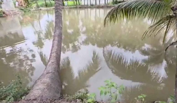 একজনকে বাঁচাতে গিয়ে দুইজনেরই মৃত্যু