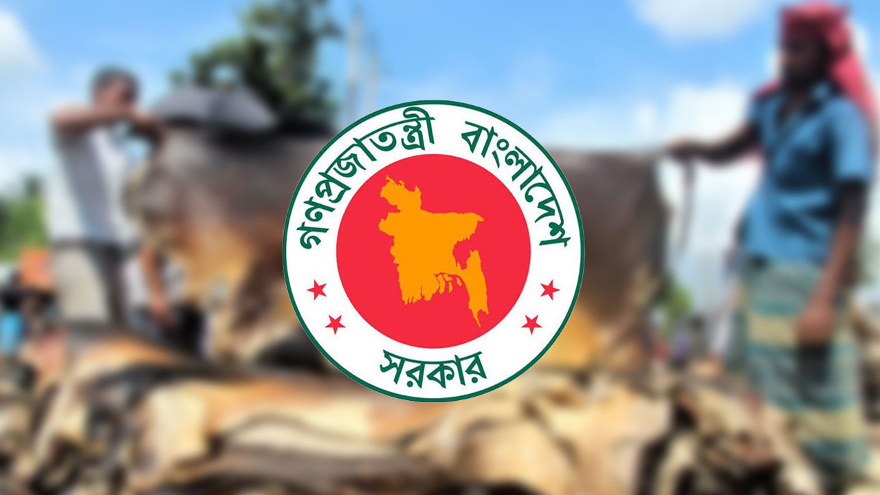 কোরবানির পশুর চামড়ার দাম নির্ধারণ করল সরকার