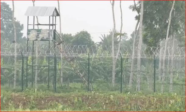 মহেশপুর সীমান্তে বিএসএফের গুলিতে বাংলাদেশি যুবক আহত