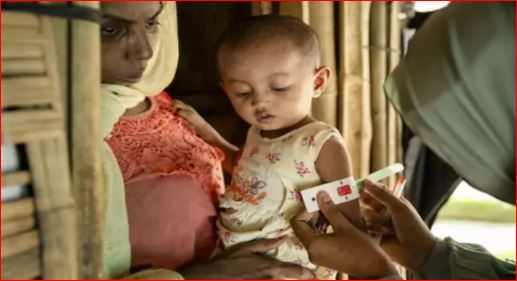 দেশে বছরে ৩০ হাজারের বেশি রোহিঙ্গা শিশুর জন্ম: পররাষ্ট্র প্রতিমন্ত্রী 